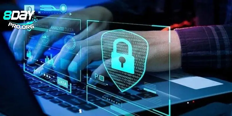 Bảo mật tài chính trong chính sách bảo mật 8DAY