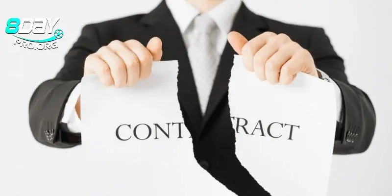 Các điều khoản chính sách rõ ràng